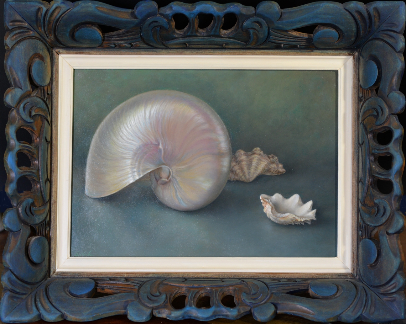 Painting of different seashells with a Nautilus. 