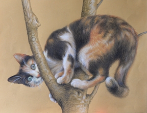 Pencil drawing of the cat Pussar. Playfully, she climbed high in the tree to show off. Made by Els Vink.